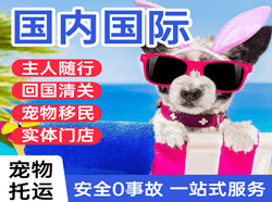 天河航空空运国际宠物托运 【国